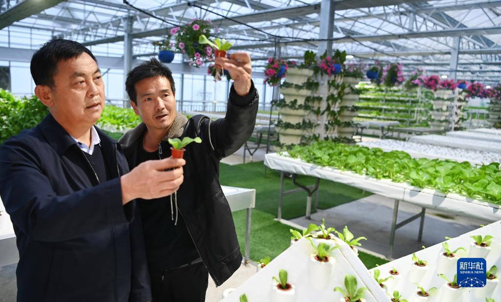 “乡村金融超市”助力乡村振兴的栽培技术研究